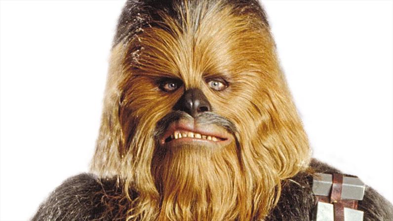 Guess Who is Back!!! Everyone's favorite Wookie will be back!